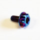 Titanium clutch retainer screw