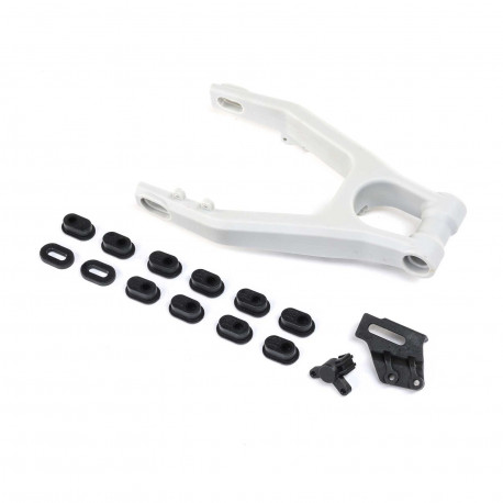 Rear Swing Arm: Promoto-MX