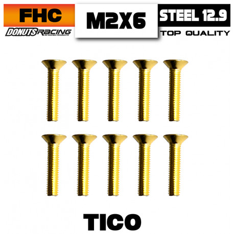 Vis FHC Acier 12.9 TiCo M2x6 (10)