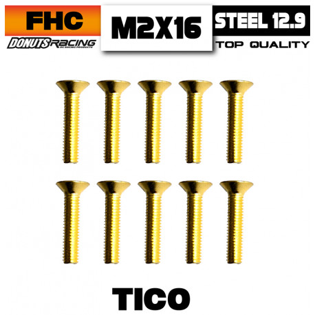 Vis FHC Acier 12.9 TiCo M2x16 (10)